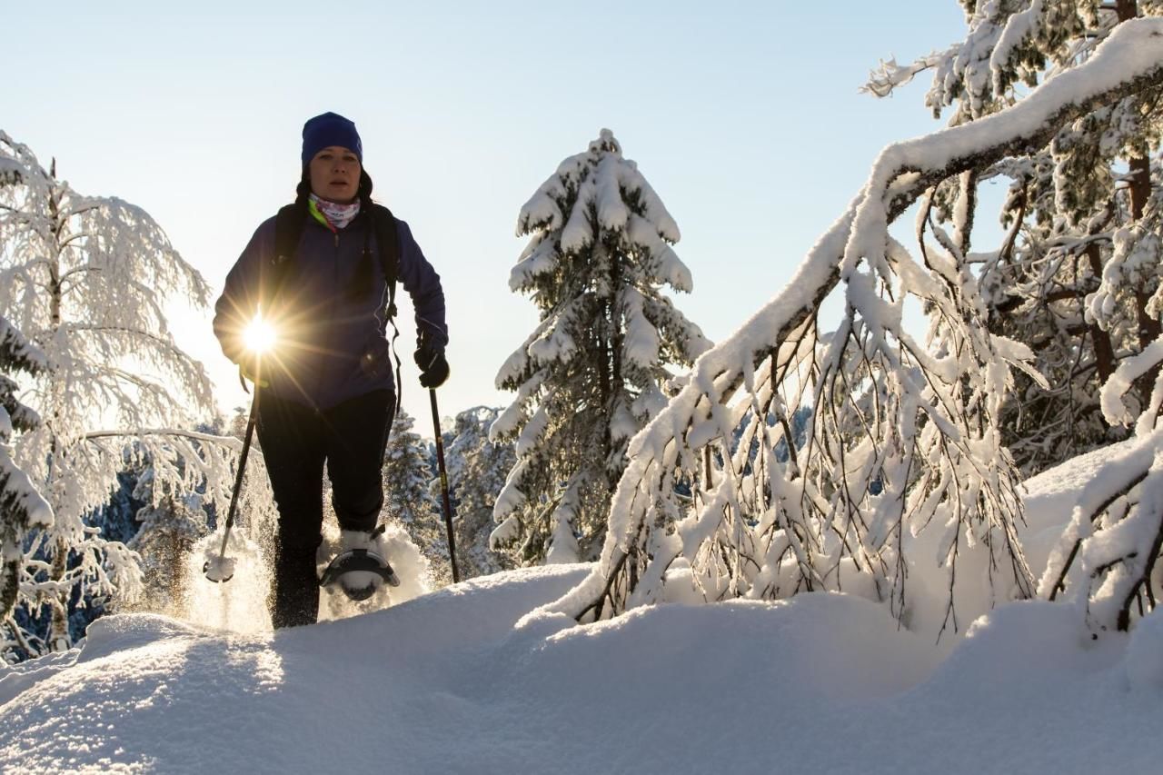 Курортные отели Tahko Golden Resort Тахковуори