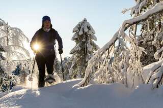 Курортные отели Tahko Golden Resort Тахковуори Вилла с 4 спальнями и сауной (для 8 взрослых)-22